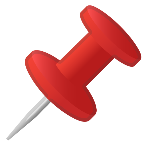 Pin